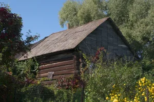 Дом Квасковой (Богородское)