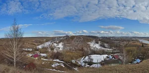 Городище (поселение) «Пронское-II» («Гневинское») (Пронск)