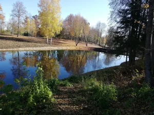 Пейзажный парк с системой каскадных прудов (Василёво)