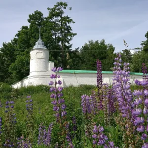 Башня садовая юго-западная (Ярославль)