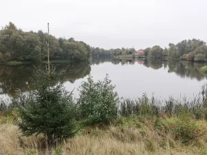 Рогожка