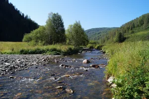 Большая Татарка