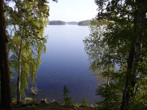 Увильды