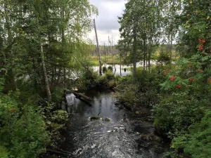 Пенега