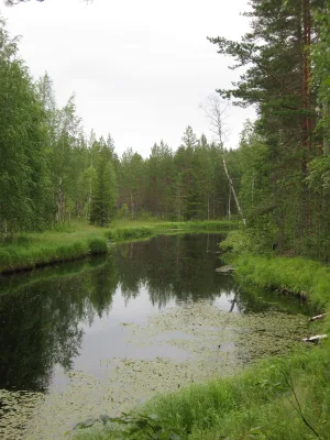 Нурмис