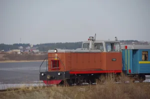 Норка