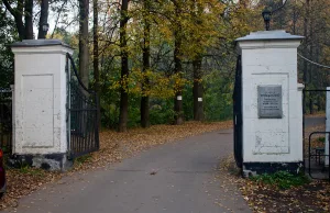 Въездные ворота (Видное-2)