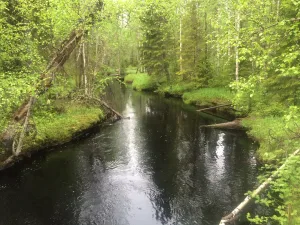 Ронда