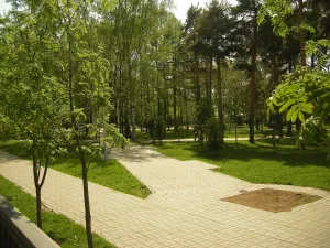 Лядской сад