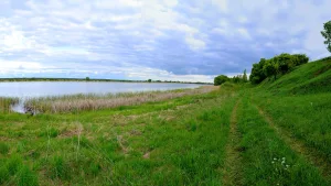 Богородицкое