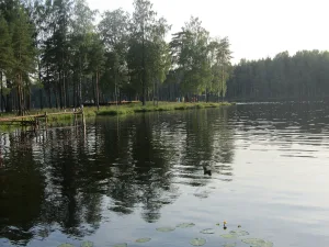 Коркинское