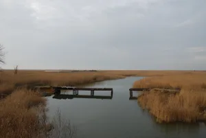 Донской Чулек