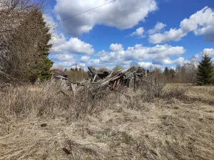 Дом жилой Петрова (Мандера)