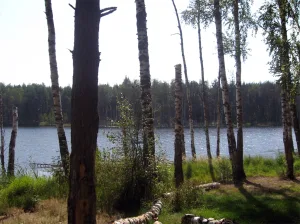 Святое Щепачихинское