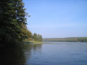 Кусторка