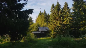 Культовая роща (Эссойльское с.п.)