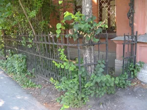 Палисадник