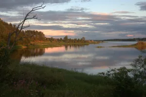 Стерж