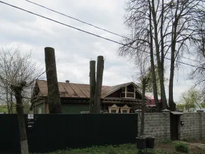 Дом Кирсанова (Звенигород)