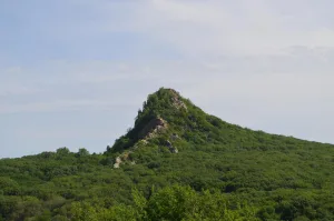 Острая