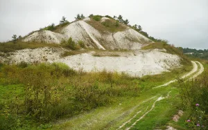 Городище «Дмитриевка»