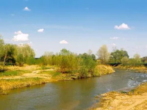 Подкумок
