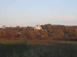 Успенская церковь (Бортсурманы)