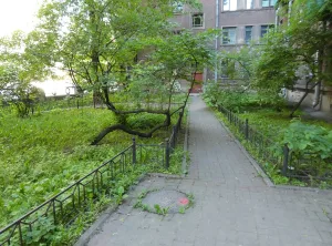 Палисадники