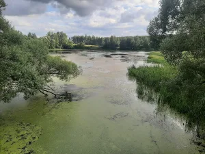 Малая Снежедь