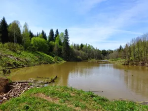 Быковка