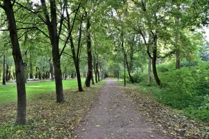 Парк