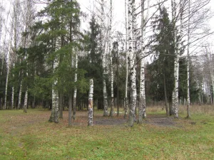 Парк (Гатчина)