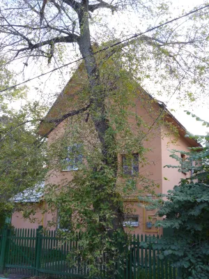 улица Саврасова 5