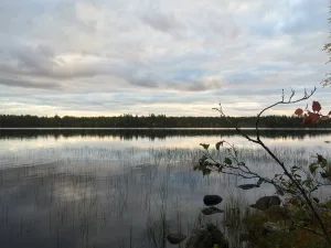 Шаверки (озеро)