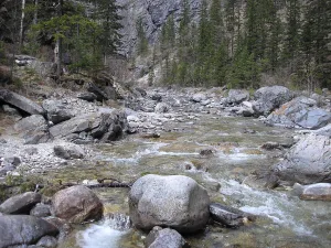 Кынгарга