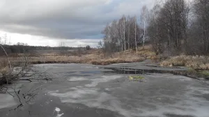 Нюньга