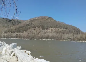 Уса