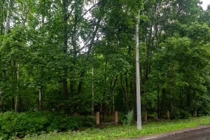 Сад при усадьбе Данилевского