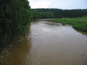 Кизел