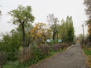 Место, где размещался командный пункт 124-й отдельной бригады и группы войск полковника С.Ф. Горохова (Тракторозаводский район)