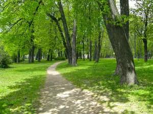 Большой Петровский парк