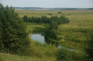 Шунгут