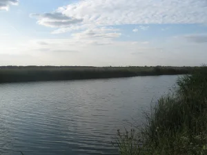 Кретовский пруд