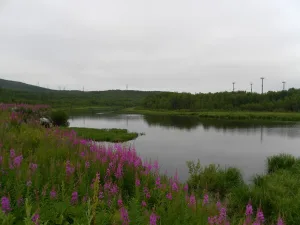 Роста