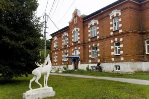 Больница князей Гагариных (Плавск)