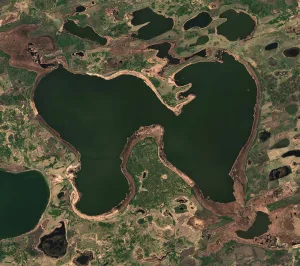 Салтаим