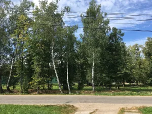 Парк (Лобня)