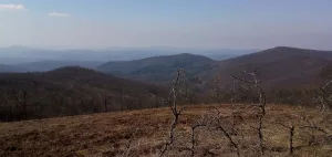 Голый Шпиль