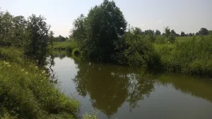Колпяна