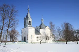 Церковь Василия Великого (Васильевское)